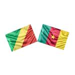 Théophile Nyamaa Moungam Profile Picture