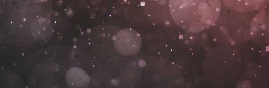 ReineSylvia Cover Image